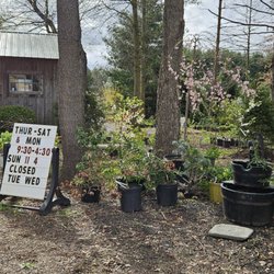 Thee Tree Farm - Thee Tree Farm with hours.