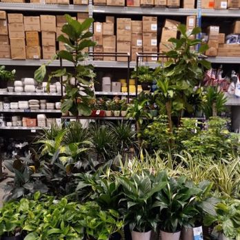Lowe's - Pompano Beach - Plants - Hardware Stores Near Me - Pompano Beach, Florida