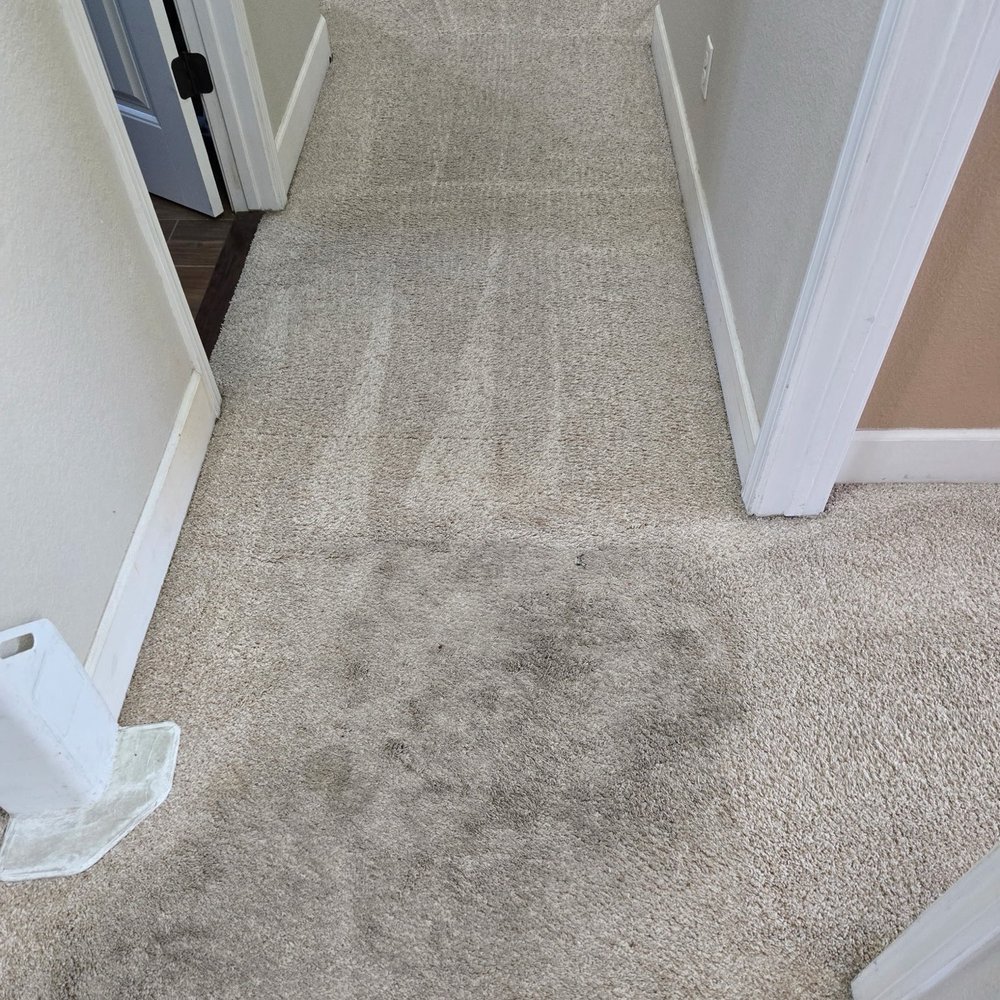 Carpenter's Steam Cleaning - Carpet Cleaning Near Me