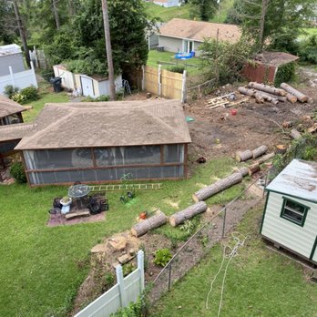 Heath Tree Care - Pine tree removal - Tree Services Near Me Heath Tree Care - Pine tree removal - Tree Services Near Me