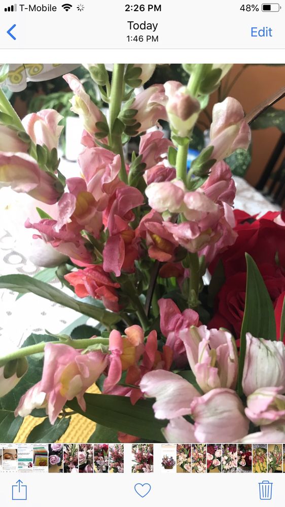 FLOWERS FOR ALL SEASONS Updated September 2024 20 Photos & 11