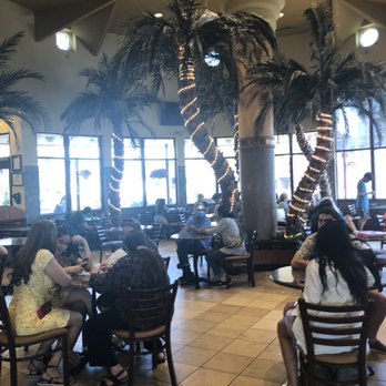 Shatila Bakery - Dearborn - Desserts Near Me - Dearborn, Michigan