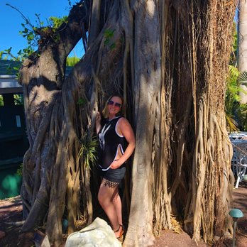 Key West Garden Club - I can't get enough of this Fig tree. - Venues & Event Spaces Near Me - Key West, Florida Key West Garden Club - I can't get enough of this Fig tree. - Venues & Event Spaces Near Me - Key West, Florida
