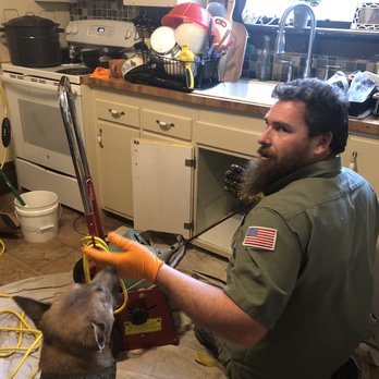 Evergreen Plumbing & Mechanical - James, explaining the finer points of plumbing to my pup. - Plumbing Near Me - Salem, Oregon Evergreen Plumbing & Mechanical - James, explaining the finer points of plumbing to my pup. - Plumbing Near Me - Salem, Oregon