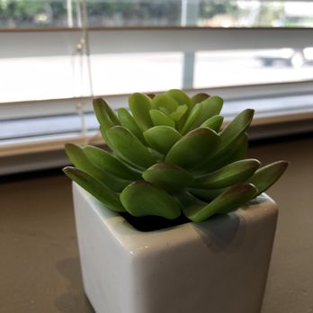 Sawasdee Thai Cuisine - Cute succulent decor - Thai Near Me - Hershey, Pennsylvania Sawasdee Thai Cuisine - Cute succulent decor - Thai Near Me - Hershey, Pennsylvania