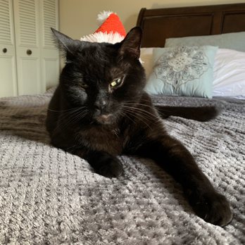 Peaceful Passage - Pet Services Near Me