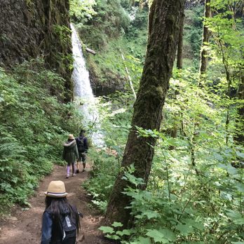 Silver Falls State Park - Hiking Near Me - Sublimity, Oregon Silver Falls State Park - Hiking Near Me - Sublimity, Oregon