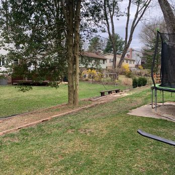 New Creation Tree Service - Nice and clean - A backyard scene featuring a large tree, a trampoline on the right, and a wooden bench in the middle, with houses and trees in the background. - Tree Services Near Me