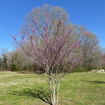 Bennetts Creek Park - Parks Near Me - Suffolk, Virginia Bennetts Creek Park - Parks Near Me - Suffolk, Virginia