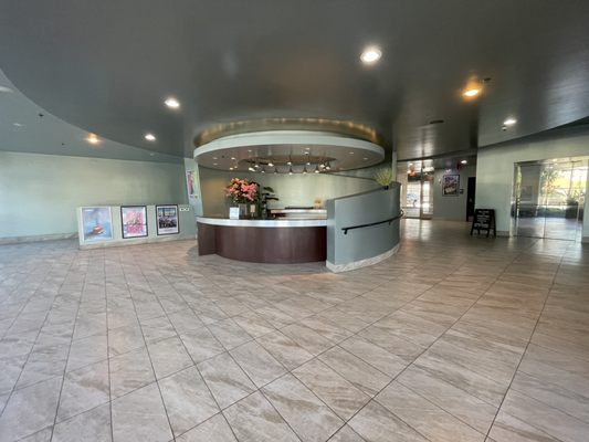 Downtown Cinemas by null