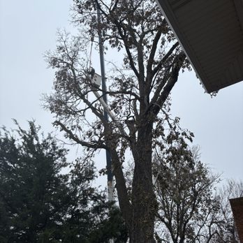 Dudley's Dew-Right Tree & Mulch - Tree Services Near Me - Lincoln, Nebraska Dudley's Dew-Right Tree & Mulch - Tree Services Near Me - Lincoln, Nebraska