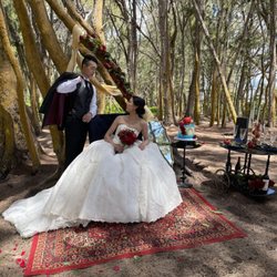 SB Wedding Hawaii  - Ball gown dress for rent at $800 & suits $200

Event at Sherwood Forest