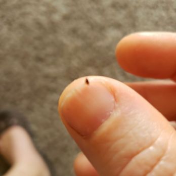 American Homes 4 Rent 106 Photos 42 Reviews Property Management 10117 Princess Palm Ave Tampa Fl Phone Number Yelp