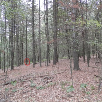 Powder Mill Ledges Wildlife Refuge - Hiking Near Me - Smithfield, Rhode Island