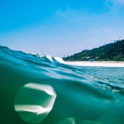 Surf With Joey - Bliss