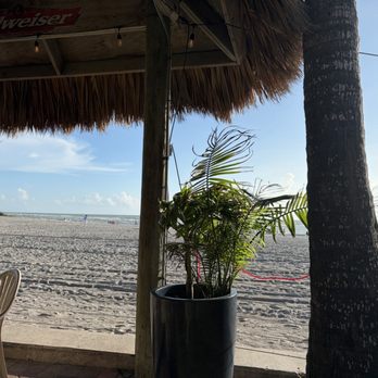 Sharky's On the Pier - Outside view - Seafood Near Me - Venice, Florida Sharky's On the Pier - Outside view - Seafood Near Me - Venice, Florida