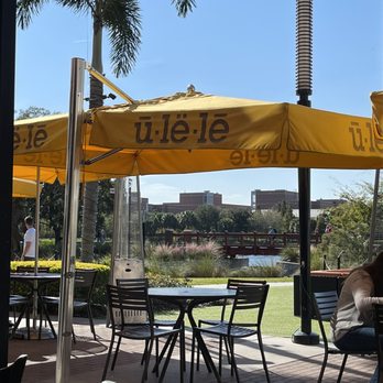 Ulele - Patio - New American Near Me - Tampa, Florida Ulele - Patio - New American Near Me - Tampa, Florida