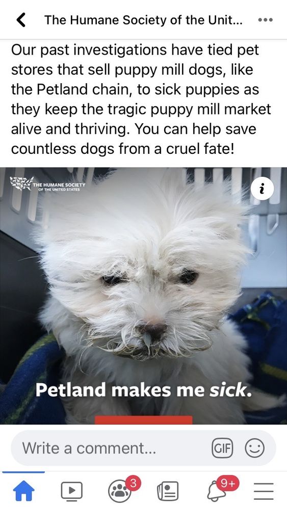 Petland San Antonio Vineyard Image