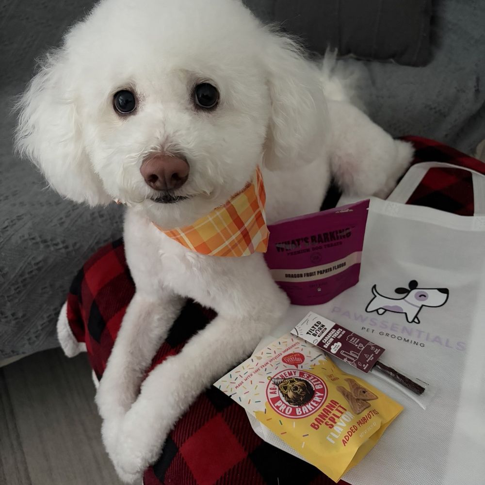 Pawssentials - Dog hair cut - Pet Groomers Near Me - Milpitas, California Pawssentials - Dog hair cut - Pet Groomers Near Me - Milpitas, California