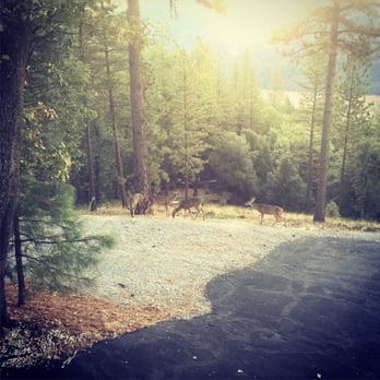 Shasta Lake Properties - Vacation Rentals Near Me - Lakehead, California