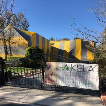 Akela Termite and Pest Control - Pest Control Near Me Akela Termite and Pest Control - Pest Control Near Me