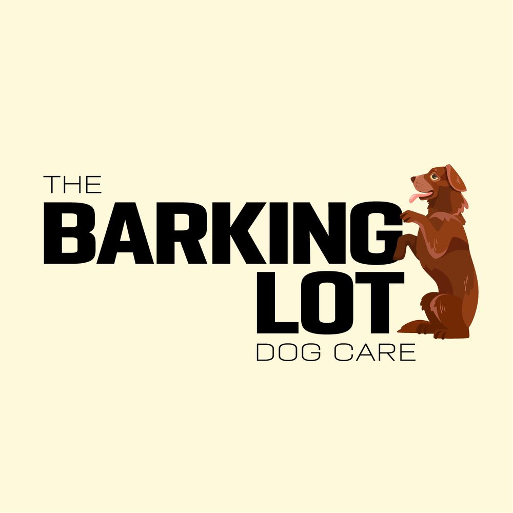 the-barking-lot-updated-september-2025-4888-dundas-st-w-etobicoke