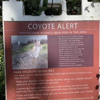 Mount Davidson Park - Coyote alert - Parks Near Me - San Francisco, California