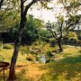 Photo of Blackgang Chine