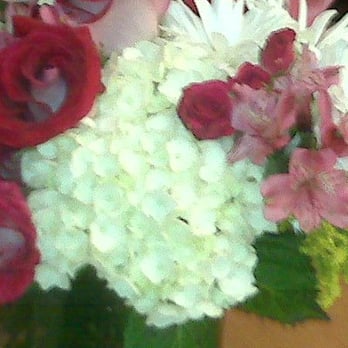 De La Flor Gardens - Hydrangea - Florists Near Me - Cooper City, Florida De La Flor Gardens - Hydrangea - Florists Near Me - Cooper City, Florida