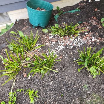 Catena Cutz Landscaping - More rocks left in the beds - Landscaping Near Me