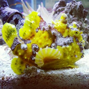 The Aquarium Connection - Aquariums Near Me - Simi Valley, California
