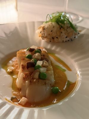 The Kingsway by null