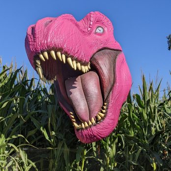 Frosty's Forest Pumpkin Patch - Attraction Farms Near Me - Chino, California Frosty's Forest Pumpkin Patch - Attraction Farms Near Me - Chino, California