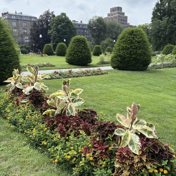 Boston Public Garden - July 2025 - Parks Near Me - Boston, Massachusetts Boston Public Garden - July 2025 - Parks Near Me - Boston, Massachusetts