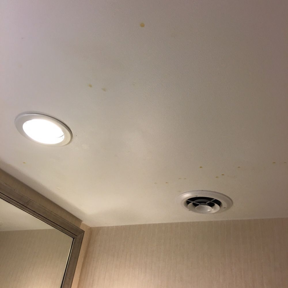 Wyndham Springfield City Centre - Mold on bathroom ceiling - Hotels Near Me - Springfield, Illinois Wyndham Springfield City Centre - Mold on bathroom ceiling - Hotels Near Me - Springfield, Illinois