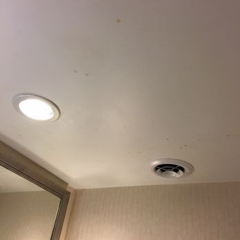 Wyndham Springfield City Centre - Mold on bathroom ceiling - Hotels Near Me - Springfield, Illinois Wyndham Springfield City Centre - Mold on bathroom ceiling - Hotels Near Me - Springfield, Illinois