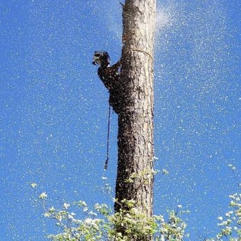 Elite Tree Care - Tree Services Near Me - Appling, Georgia