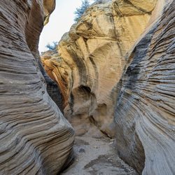 Willis Creek - Instagram: @telephonesmoothie