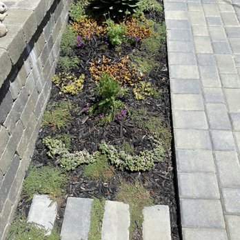 Botanika Gardens - After another angle - we had some extra pavers - they knew how to include into our garden because we have a Little Free Library - Landscaping Near Me Botanika Gardens - After another angle - we had some extra pavers - they knew how to include into our garden because we have a Little Free Library - Landscaping Near Me
