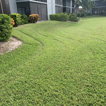 Lawns by Scott - Landscaping Near Me - Cocoa Beach, Florida