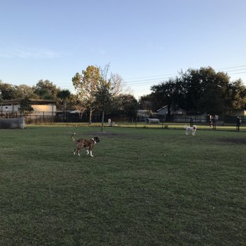 Lake Druid Park Dog Run - Dog Parks Near Me - Orlando, Florida