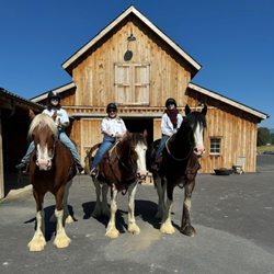 Clydesdale Outpost - Clydesdale Outpost barn - three generations
