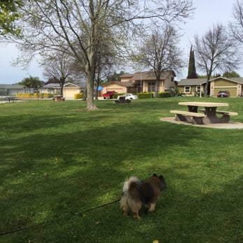 Doxey Park - Three picnic benches readily available & newly re-painted - Parks Near Me - Manteca, California Doxey Park - Three picnic benches readily available & newly re-painted - Parks Near Me - Manteca, California