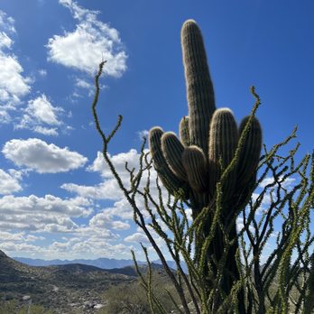 South Mountain Park - Parks Near Me - Phoenix, Arizona South Mountain Park - Parks Near Me - Phoenix, Arizona