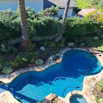 Salim's Tree Service - The day after, the pool was covered with tarps which kept 95% of large debris out. - Tree Services Near Me - Oxnard, California