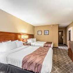 Quality Inn & Suites - Double Queen Room