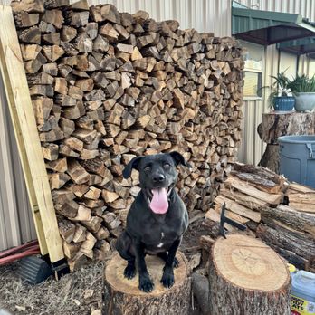 Trinity Tree Experts - Tree Services Near Me - Alvarado, Texas Trinity Tree Experts - Tree Services Near Me - Alvarado, Texas