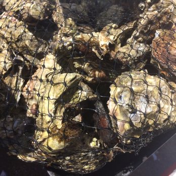 Hog Island Oyster - Bag of 60 Medium Oysters - Seafood Near Me - Marshall, California