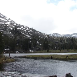 Lily Pond Lake - Lake in May