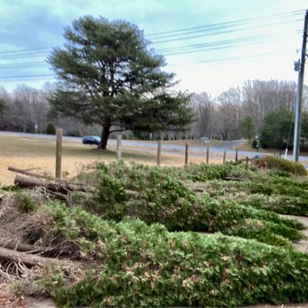Ax Tree Services - After pic - Landscaping Near Me - Bealeton , Virginia